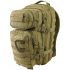 Hex - Stop Malý molle Batoh ASSAULT Pack 28L (Coyote)