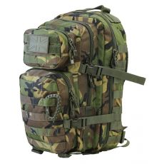 Malý molle Batoch ASSAULT Pack 28L (vzor DPM)
